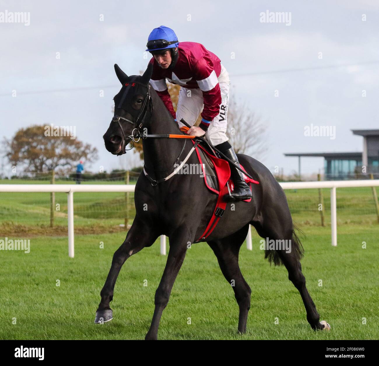 Horse racing UK and Ireland.Down Royal Racecourse, Lisburn, Northern Ireland. 31 Oct 2020. National Hunt Meeting. The Ladbrokes Festival of Racing (Day 2) feature race was the Ladbrokes Champion Chase (Grade 1) with €75,000 for the winner and held behind closed doors. Racehorse Delta Work ridden by Jack Kennedy and trained by Gordon Elliott. Stock Photo
