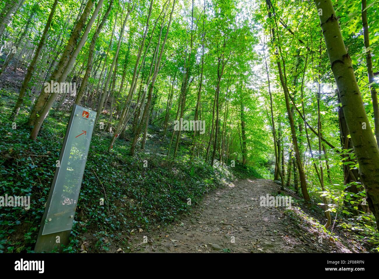 The forest trail towards to the Three Acorns Museum, Luxembourg Stock