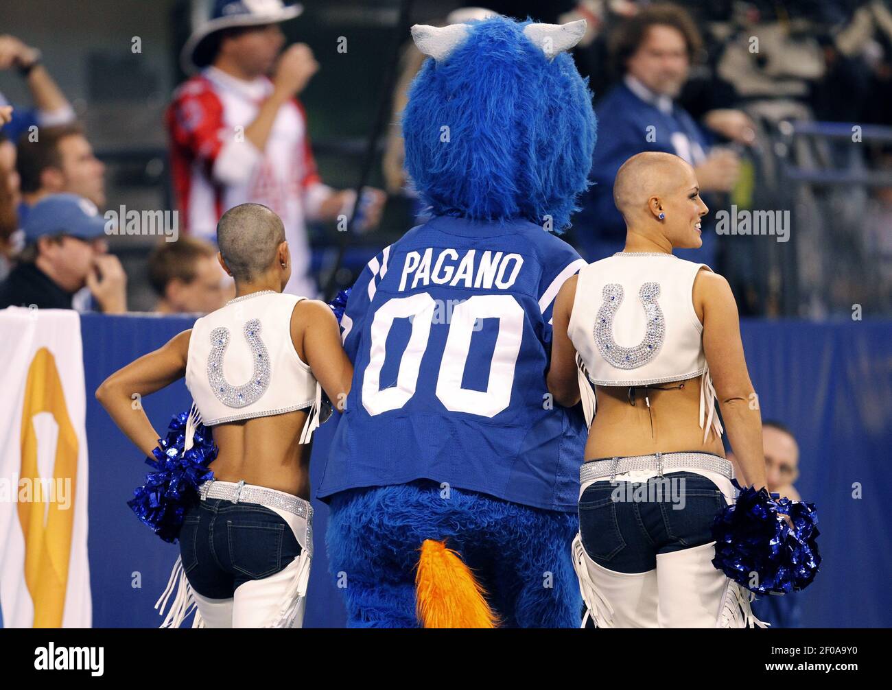 Colts mascot Blue shaved the heads of two Colts cheerleaders during the 4th  quarter on Sunday, November 25, 2012, in Indianapolis, Indiana. The money  raised, over $20,000, will go to Leukemia research