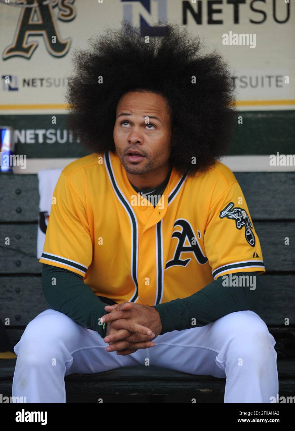 Oakland Athletics' Coco Crisp sits in the dugout as he shows off his hair  before action against the Detroit Tigers at Oakland-Alameda County Coliseum  in Oakland, California, on Thursday, April 14, 2011. (