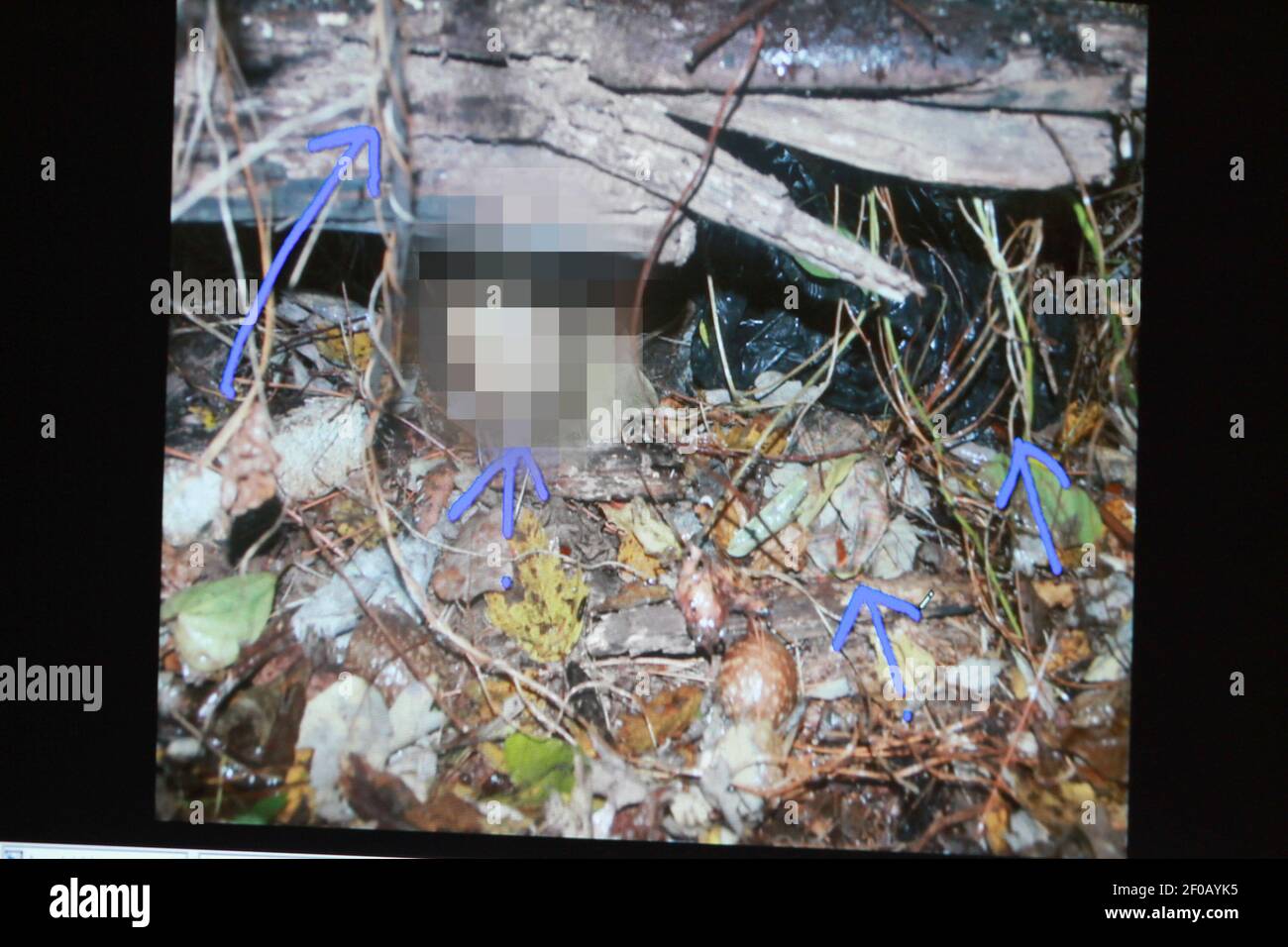 Actual Crime Scene Photos Of Caylee Anthony