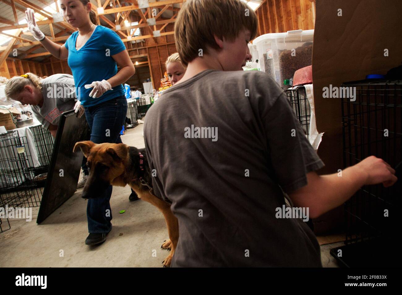 Volunteers work quickly to clean and change the food and water in