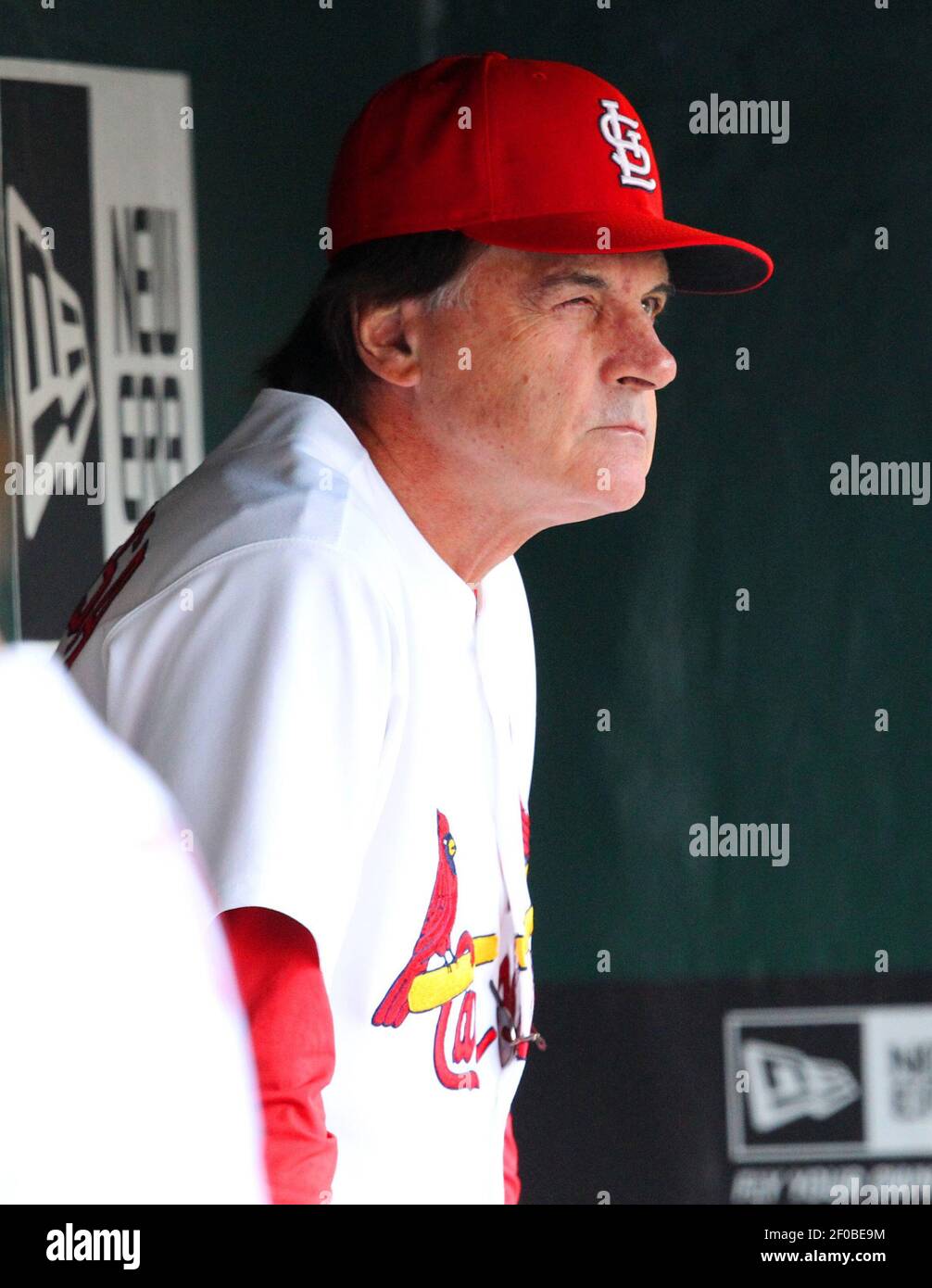 St. Louis Cardinals manager Tony La Russa is seen before a MLB game
