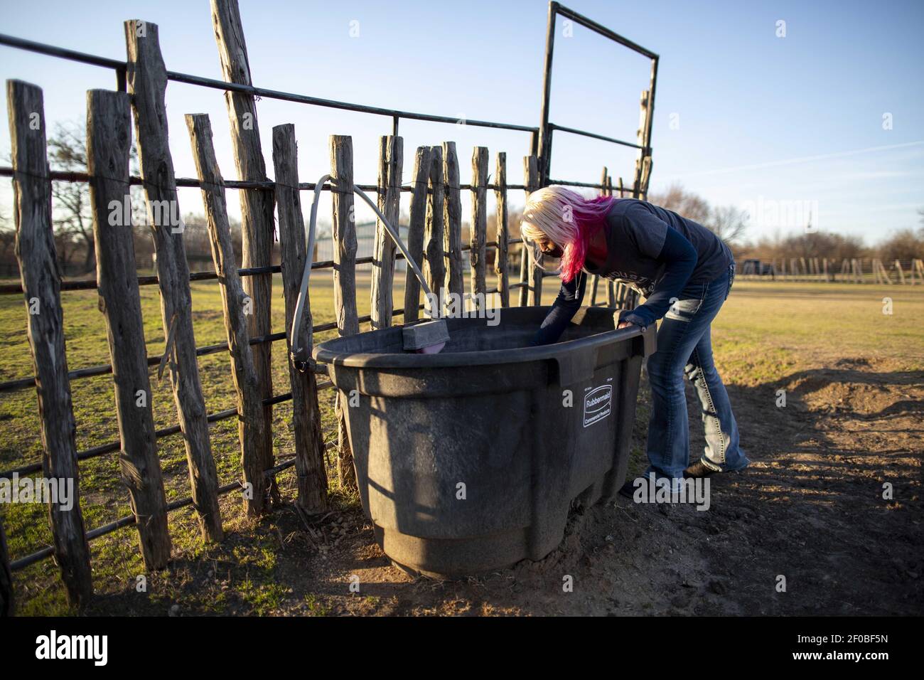 Weatherford, Texas, USA. 6th Mar, 2021. A 100-gallon barrel of water is placed in the middle of a horse corral for the four horses to drink. The barrel has an auto water foist to refill the water when it is emptied. Horses have to drink up to 2500 gallons a day to prevent illness or death from colic. As the snow has melted in Texas after the random winter storm that left millions without water and power, many Texans are still recovering from the damages. From Weatherford, Texas, Laura shares her experience of what it was like for her and her husband during the storm. Laura is a gr Stock Photo