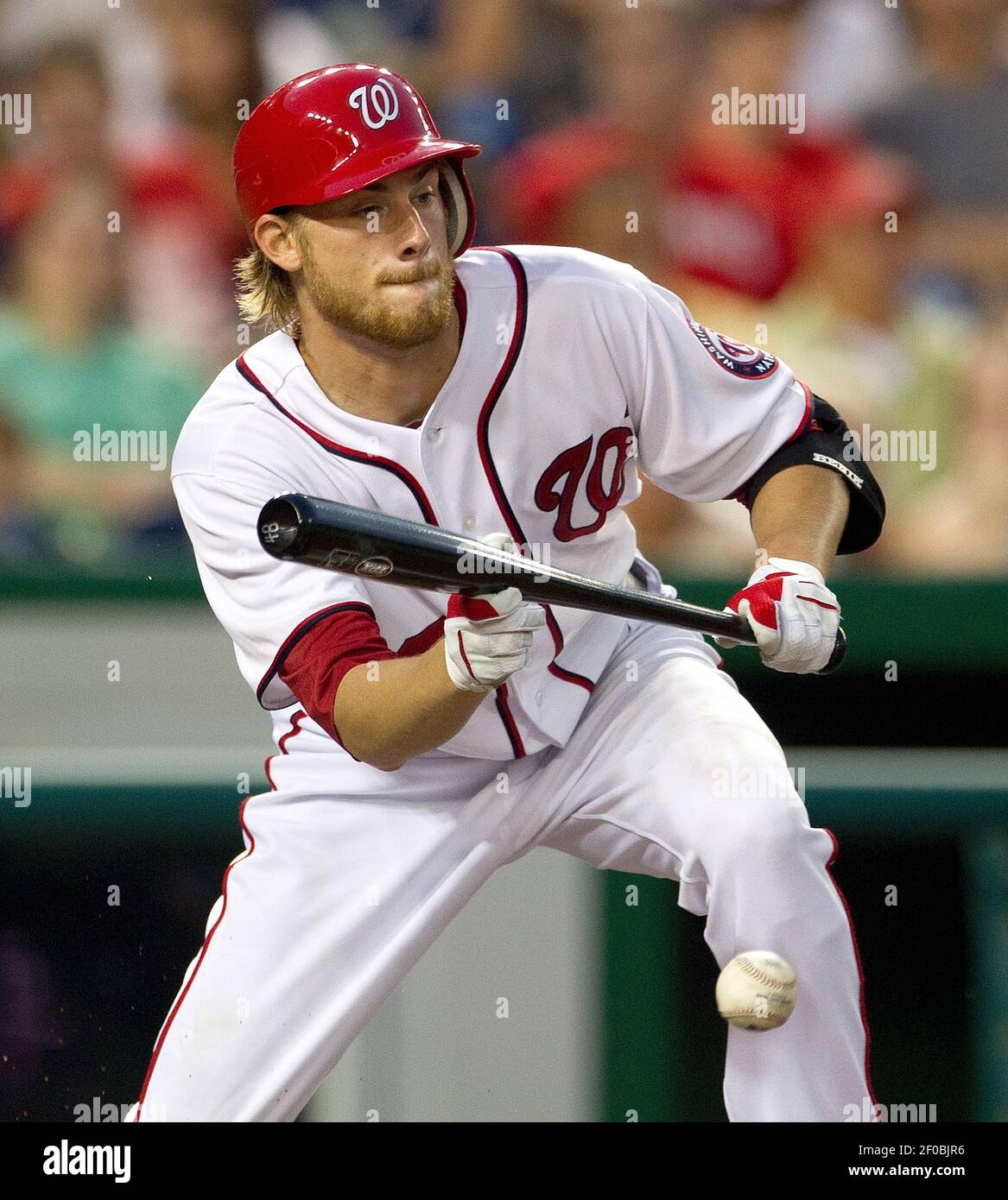 Washington Nationals starting pitcher Ross Detwiler (48) bunts against the New York Mets during the second inning at Nationals Park in Washington, D.C, Friday, September 2, 2011. (Photo by Harry E. Walker/MCT/Sipa USA) Stock Photo