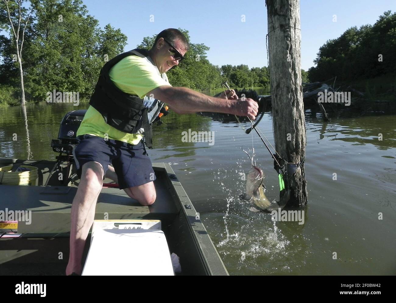 Steve Green pulls a catfish caught on one of his homemade limb