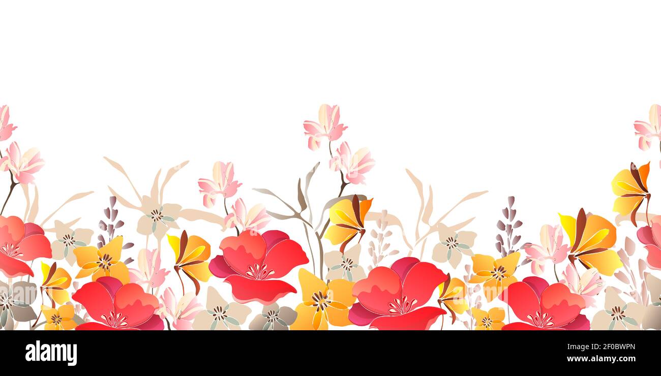 Vector floral seamless border. Red, yellow flowers Stock Vector Image