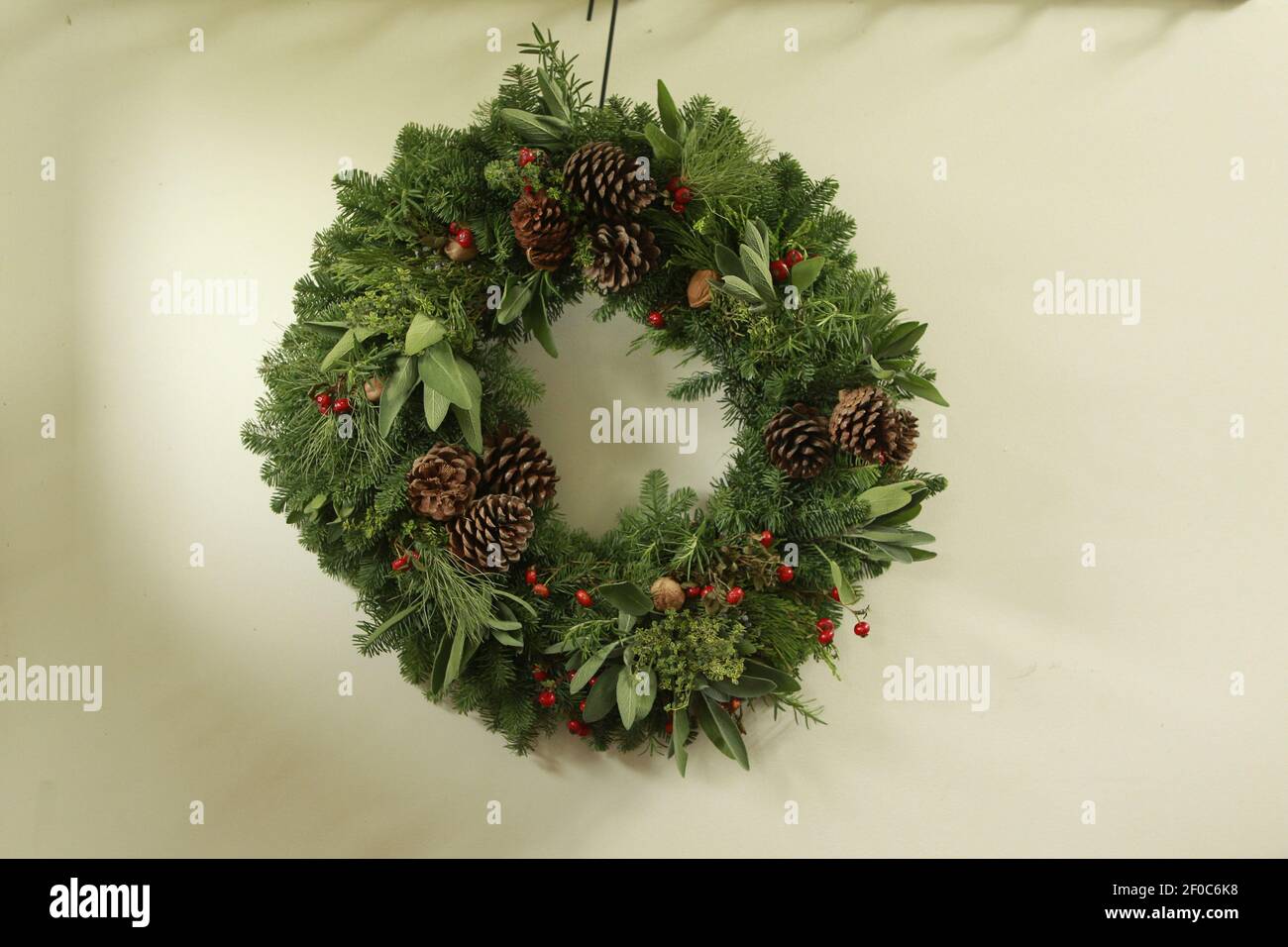 A holiday wreath crafted for use through the winter and even after the holidays. The apples have been removed and replaced with bouquets of fresh herb leaves. (Photo by Chris Walker/Chicago Tribune/MCT/Sipa USA) Stock Photo