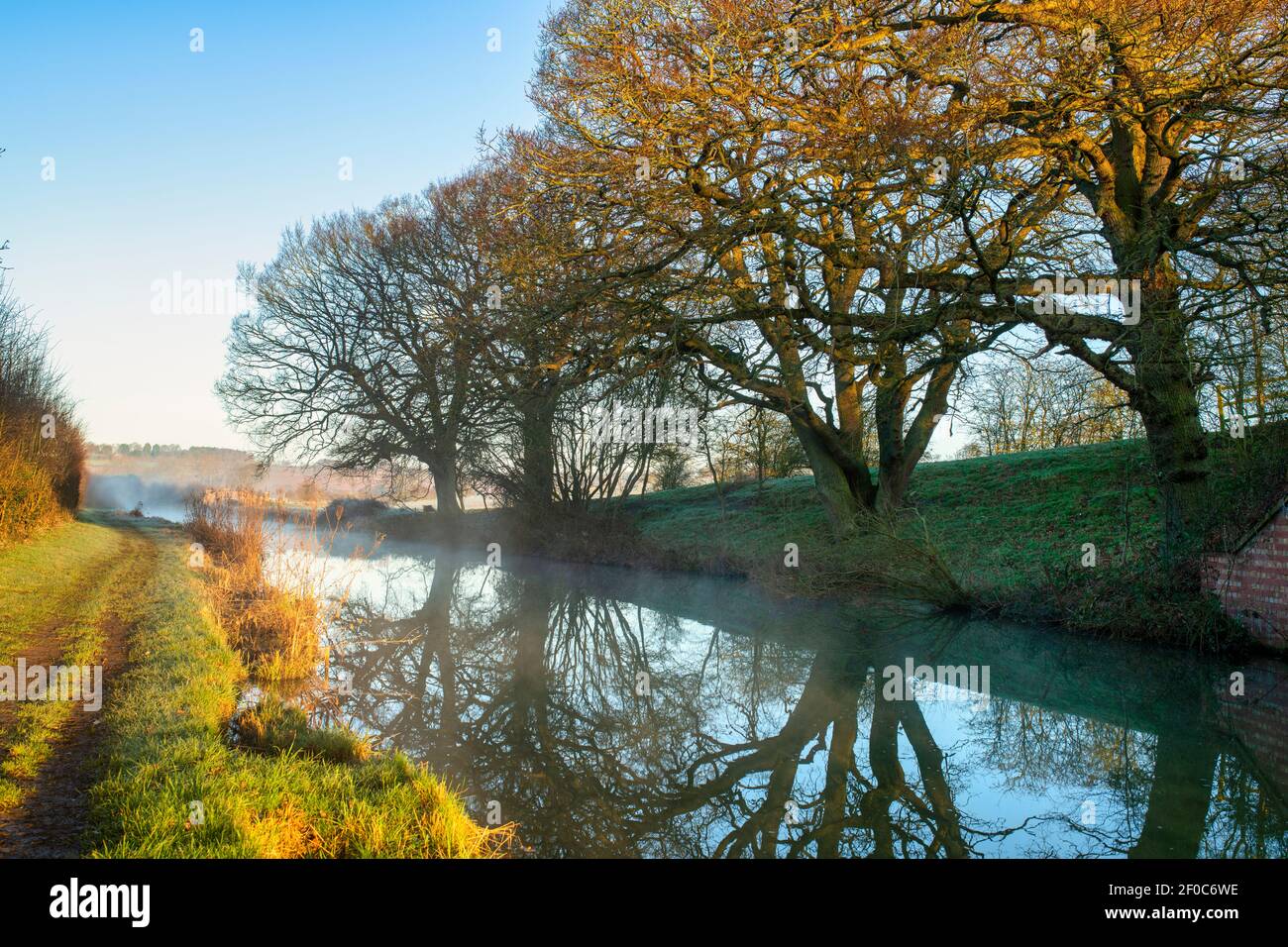 Oak trees along the Oxford canal on a february morning at sunrise. Upper Heyford, Oxfordshire, England Stock Photo