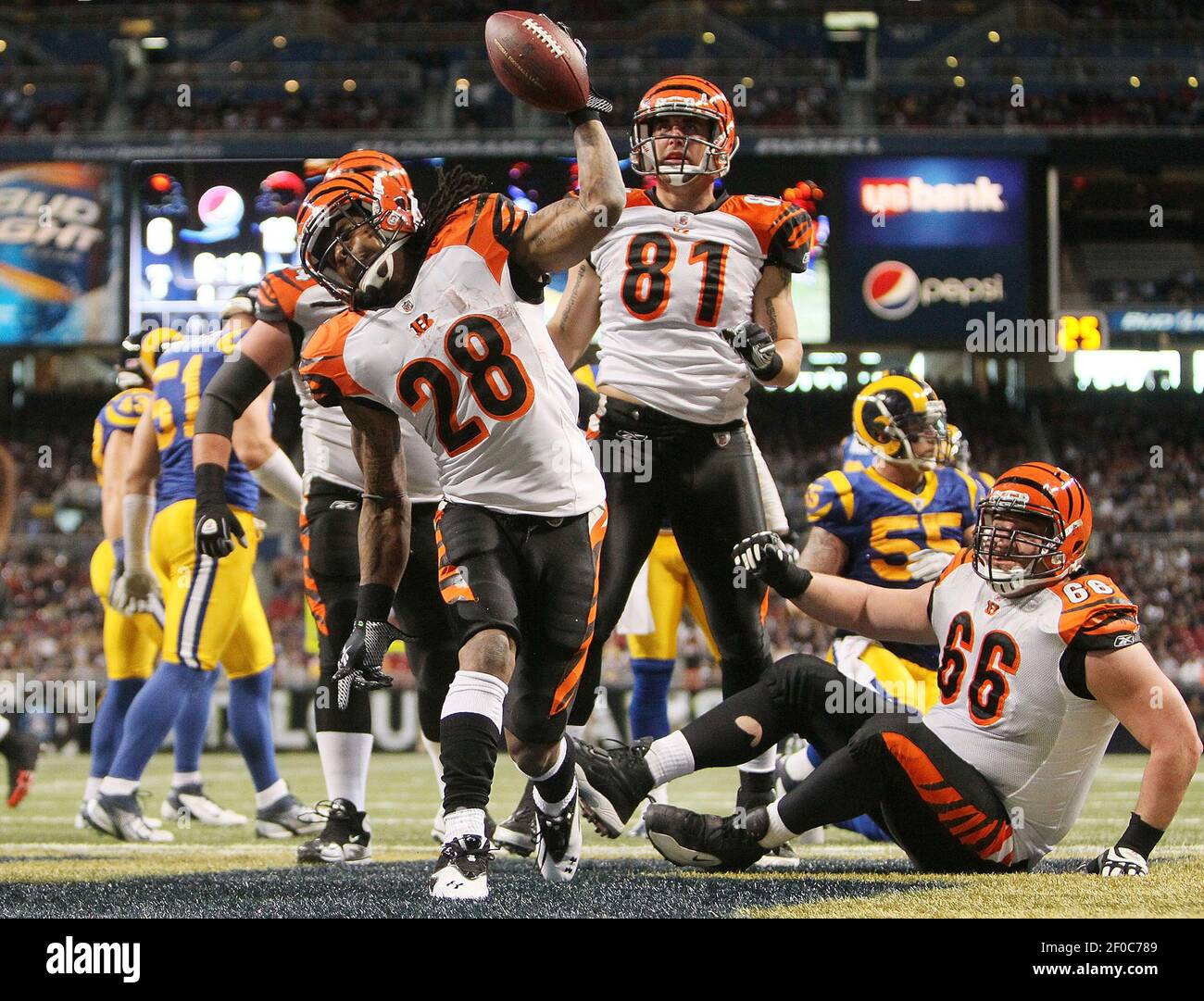 Cincinnati Bengals halfback Bernard Scott spikes the ball after