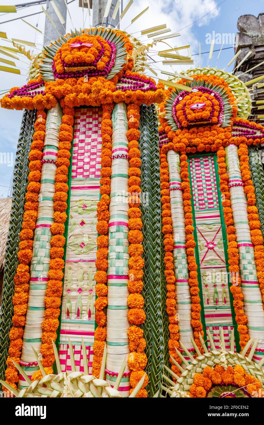 Marigold bali orange hi-res stock photography and images - Alamy