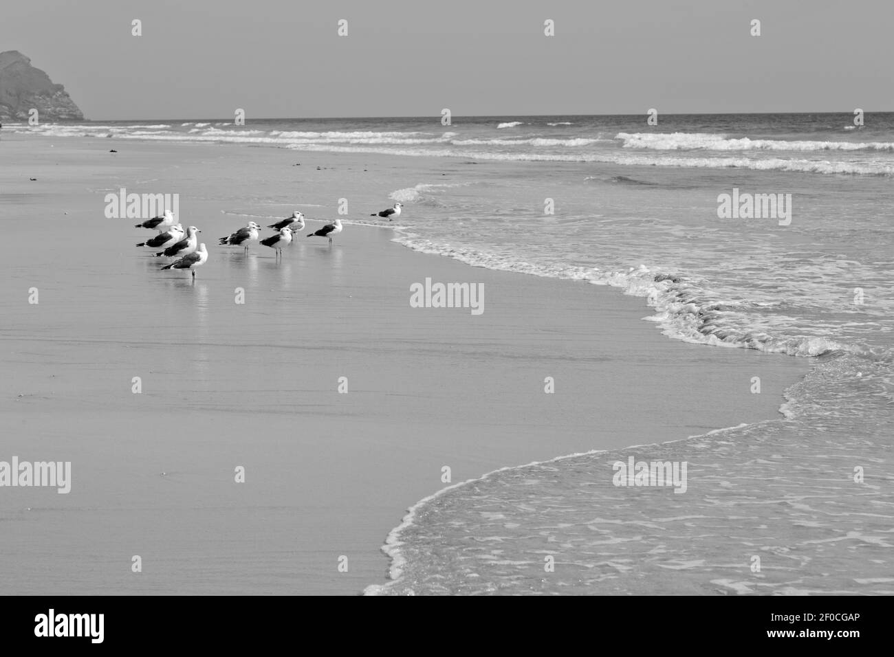 Oman salalah Black and White Stock Photos & Images - Alamy