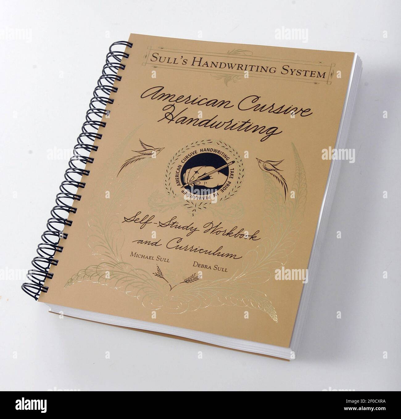 "American Cursive Handwriting" by Michael Sull (LDG Publishing, 35). (Photo by Jim Barcus