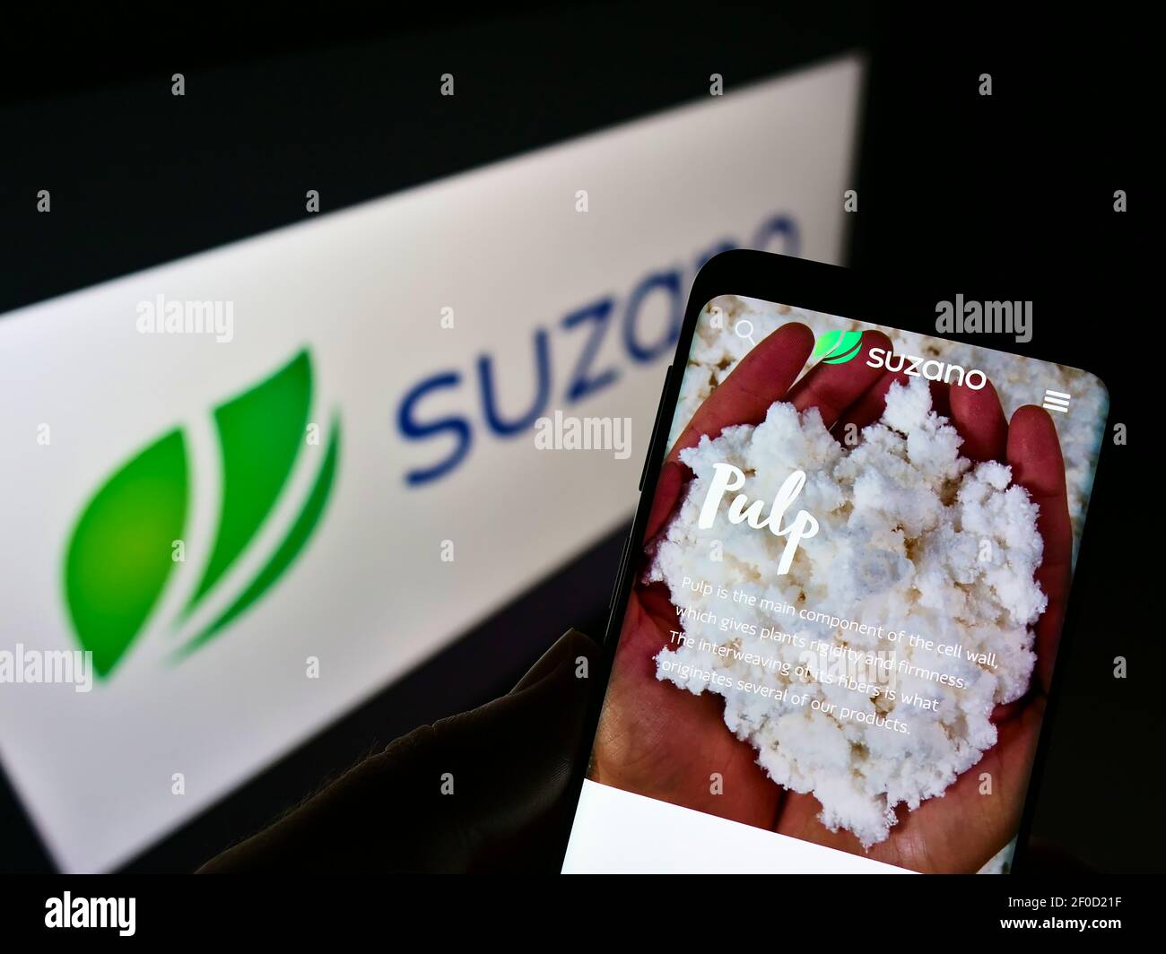Person holding mobile phone with website of Brazilian pulp and paper manufacturer Suzano S.A. on screen in front of logo. Focus on phone display. Stock Photo