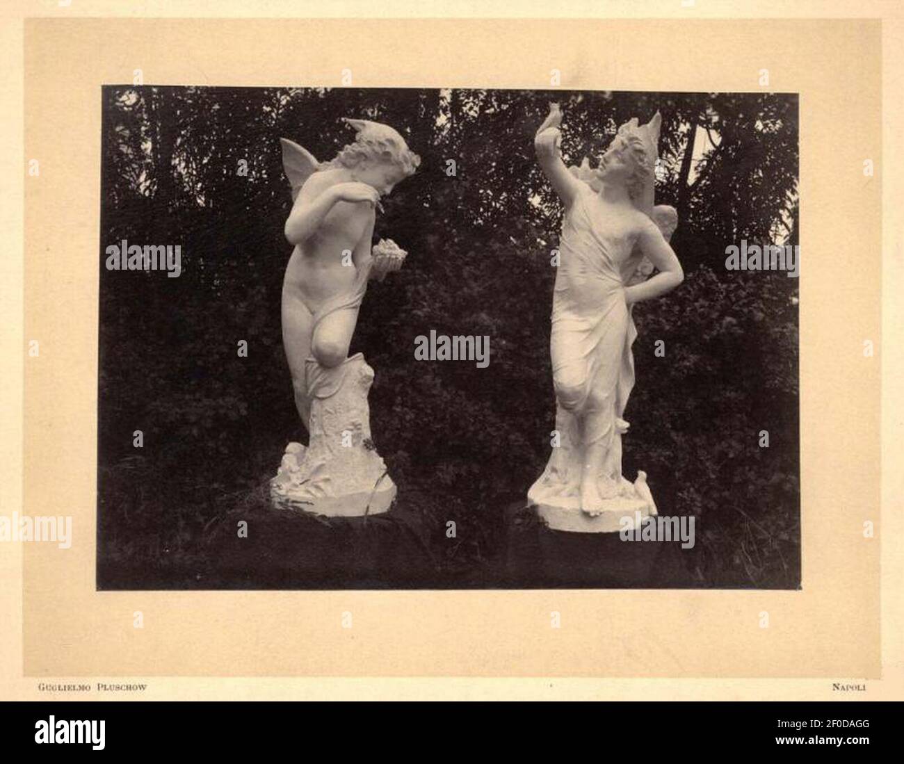 Pluschow with hires stock photography and images Alamy