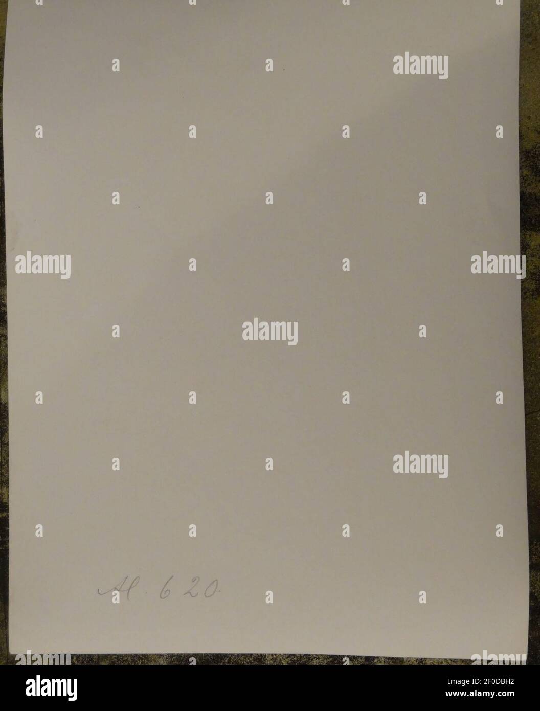 Plüschow, Wilhelm von (18521930 Stock Photo Alamy