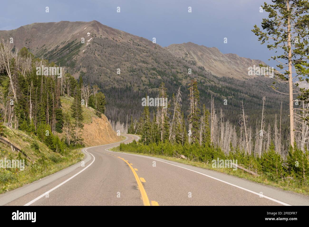 Road to East Entrance Yellowstone National Park Avalanche Peak Stock Photo Alamy