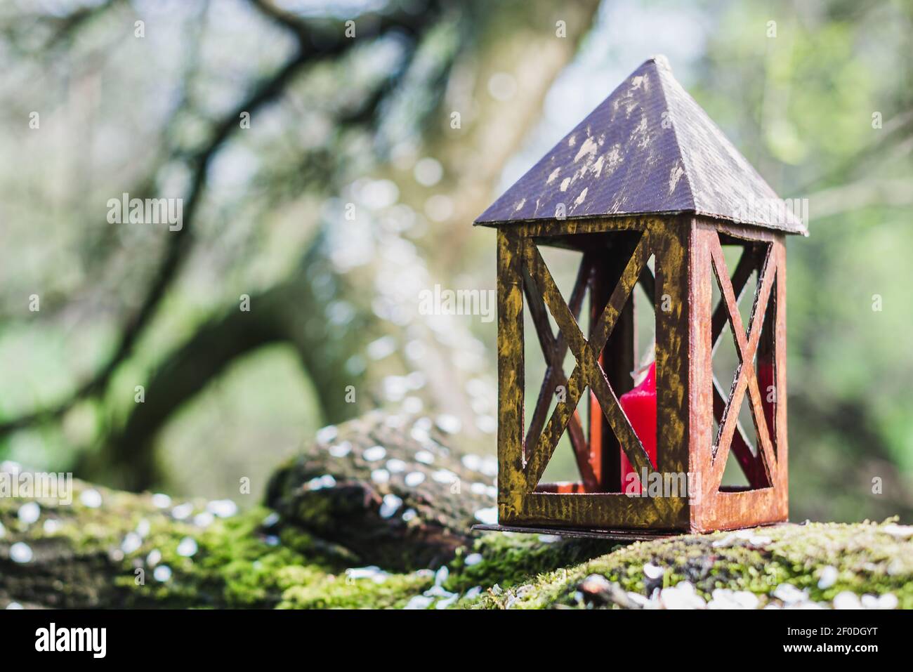 Flashlight forest hi-res stock photography and images - Alamy