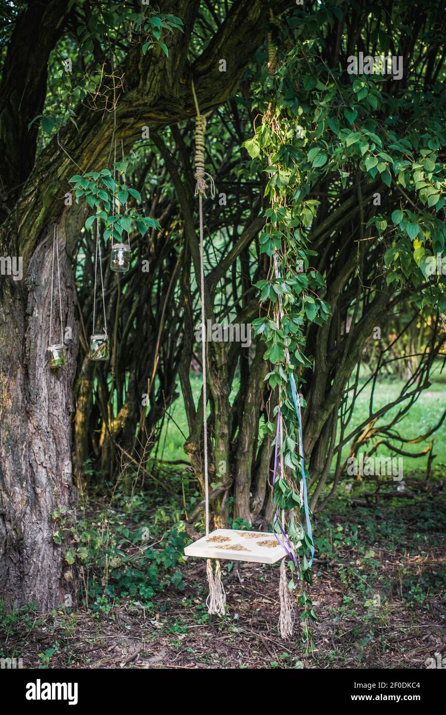 Wooden swing hanging from tree Stock Photo Alamy