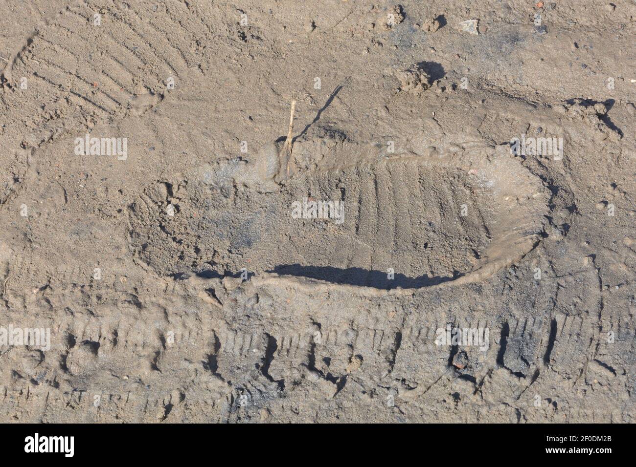 Footprint from boot in liquid mud in early spring. Stock Photo