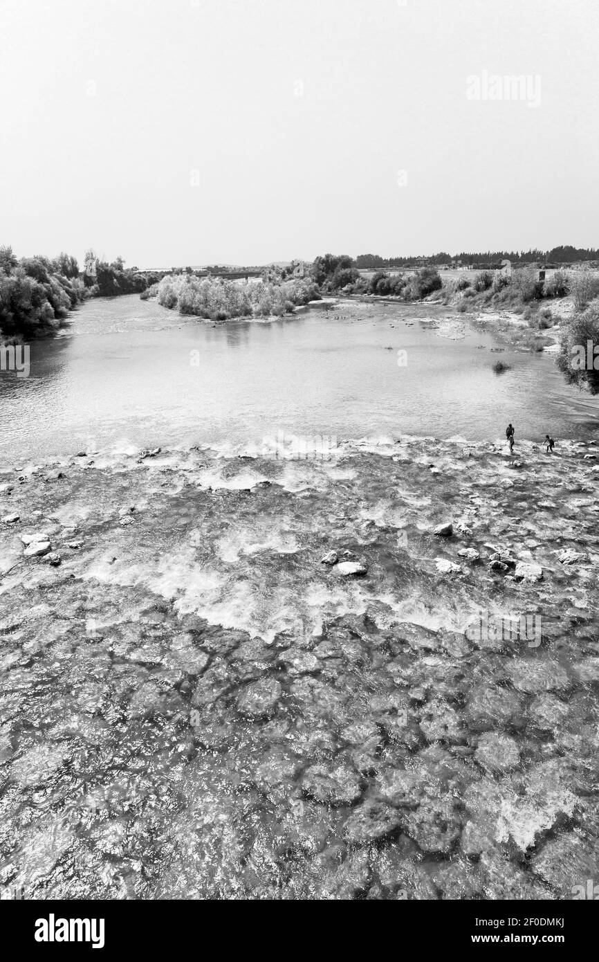 Tree river background Black and White Stock Photos & Images - Alamy