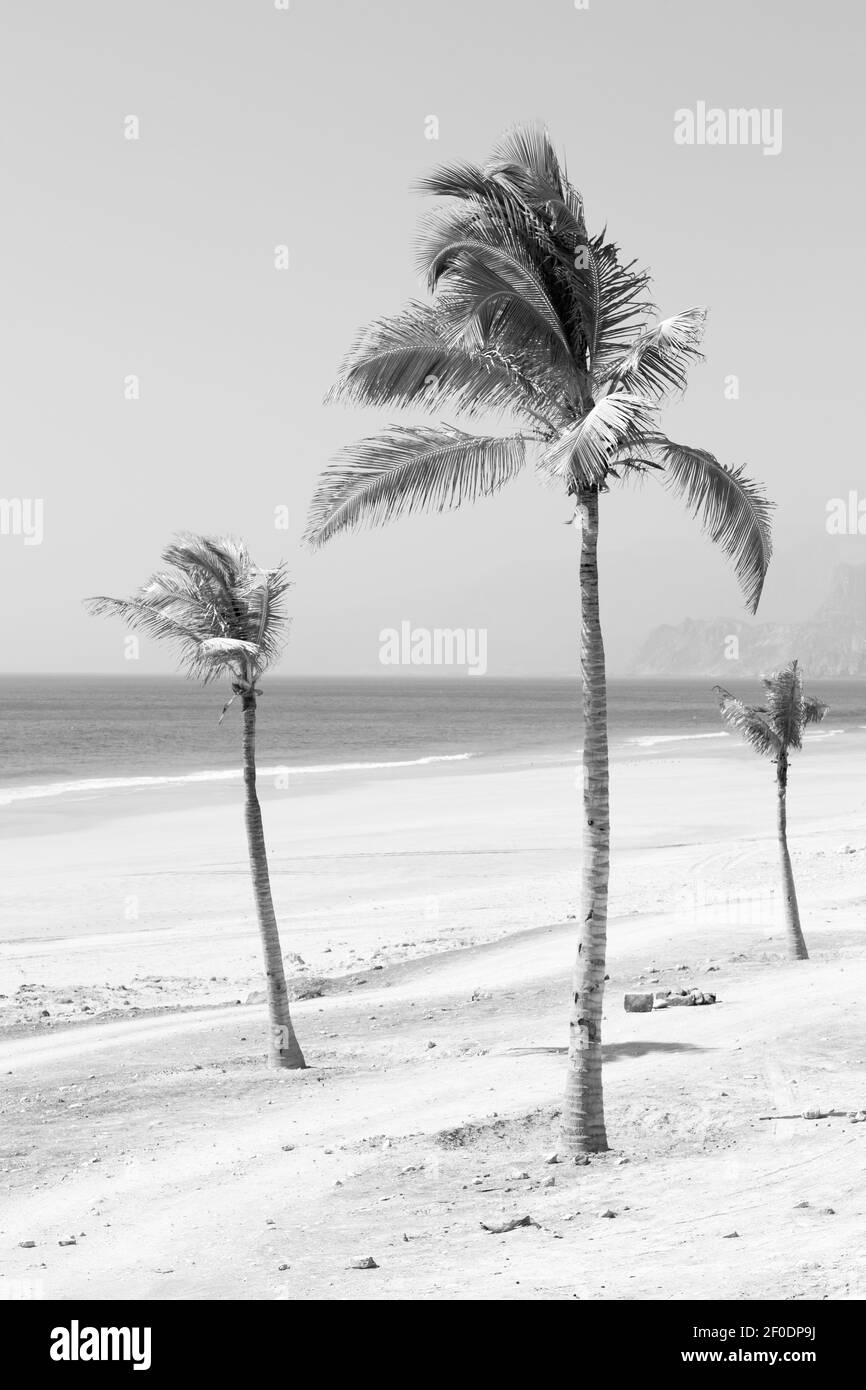 Oman beach sandy Black and White Stock Photos & Images - Alamy