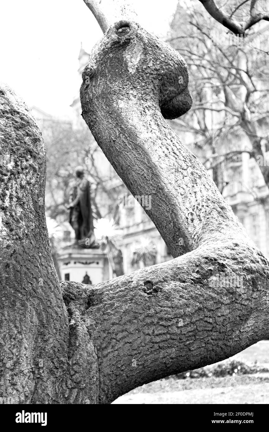 Moss architecture Black and White Stock Photos & Images - Alamy