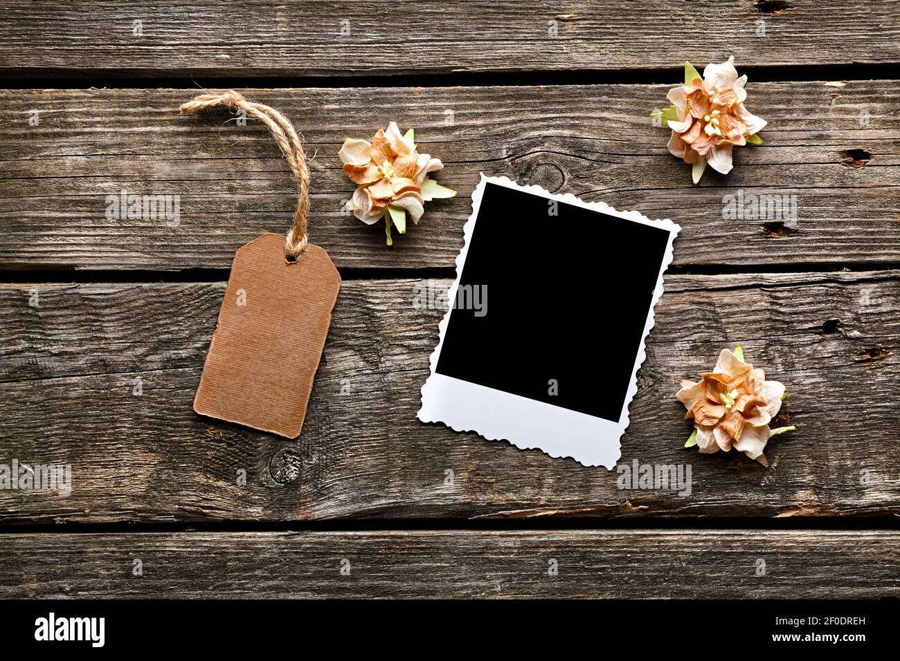 Instant photo frame with gift tag and flowers Stock Photo
