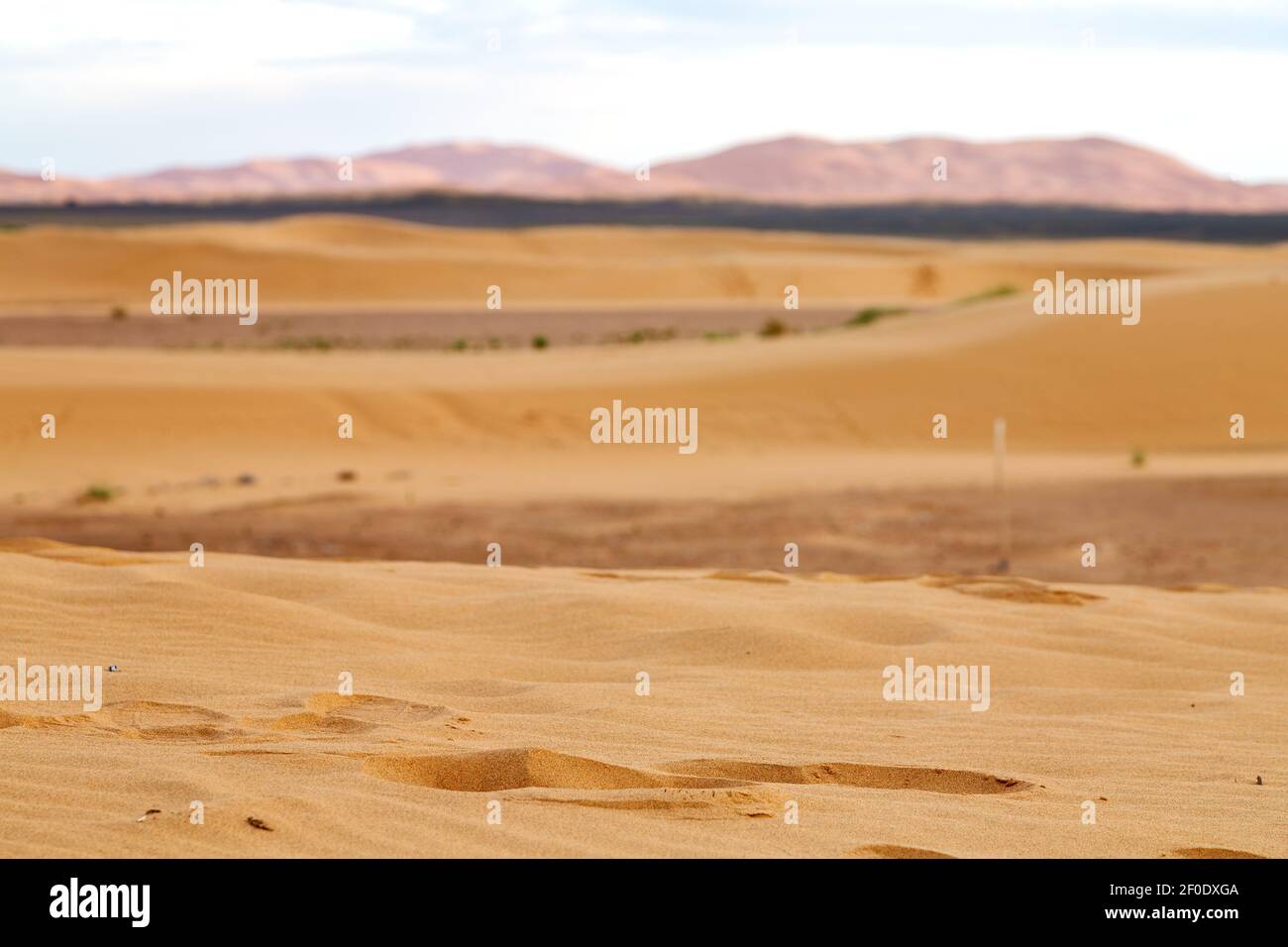 Mountain old fossil in  the desert of morocco sahara and rock  stone    sky Stock Photo