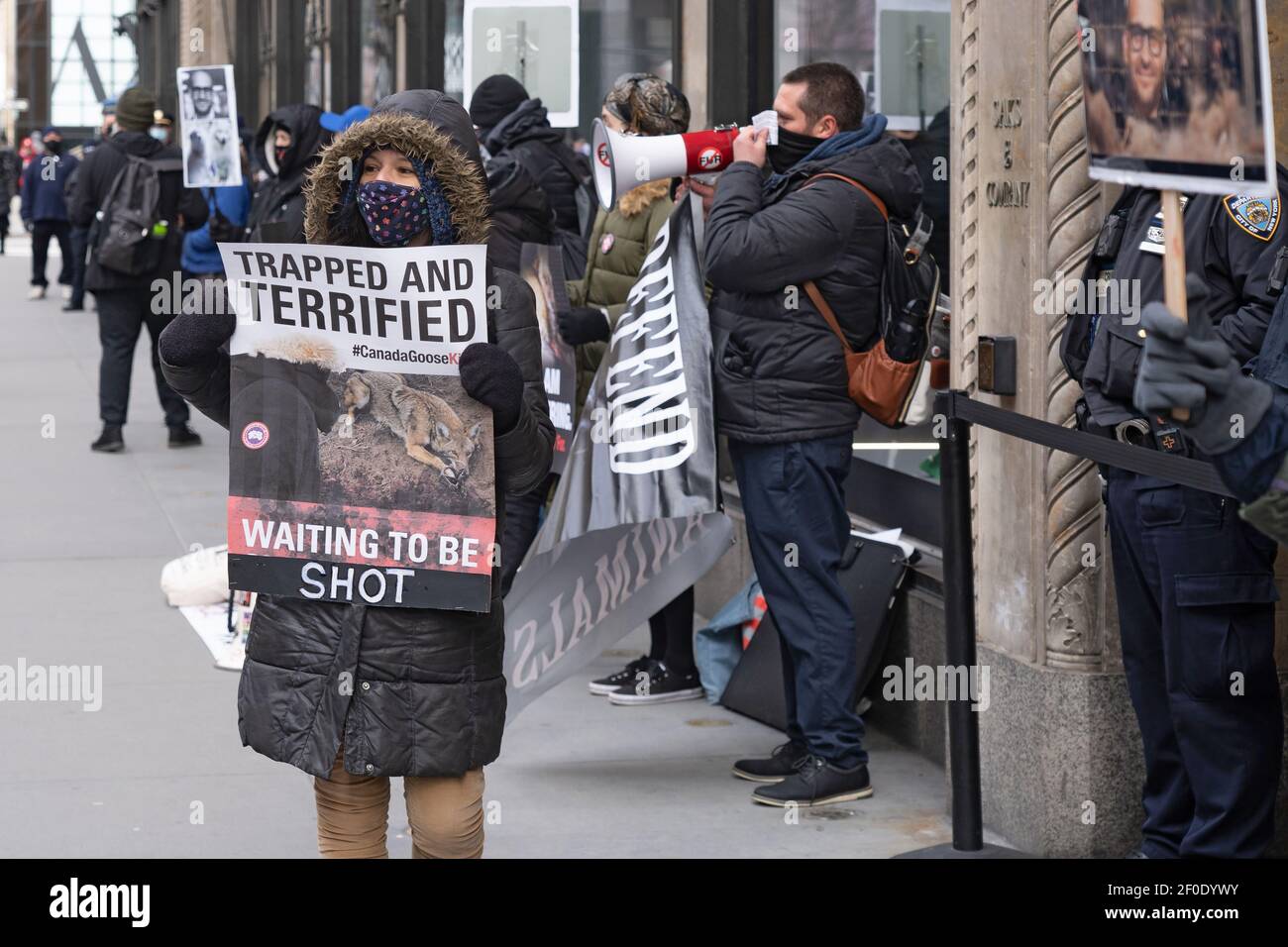 NEW YORK, NY - MARCH 6: Animal rights activists holds a sign reading  "trapped and terrified waiting to be shot" during a Canada Goose protest in  front of Saks Fifth Avenue flagship