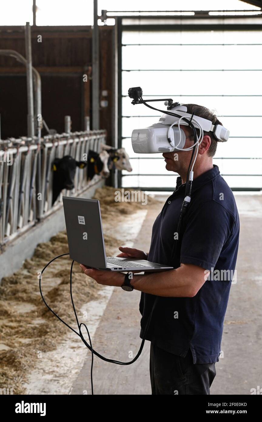 GERMANY, Echem, smart dairy cow milk farm, digitalization of agriculture, digital cow goggles to simulate and analyse the cow perception / DEUTSCHLAND, Landwirtschaftlichen Bildungszentrum (EBZ) in Echem, Digitalisierung im Kuhstall und Melkstand, Digitale Kuhbrille, Simulation und Analyse der Wahrnehmung der Kuh Stock Photo