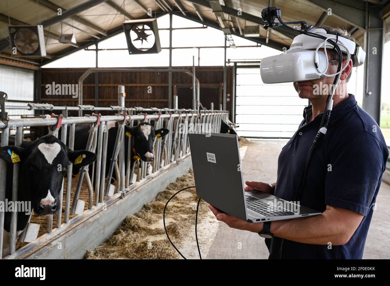 GERMANY, Echem, smart dairy cow milk farm, digitalization of agriculture, digital cow goggles to simulate and analyse the cow perception / DEUTSCHLAND, Landwirtschaftlichen Bildungszentrum (EBZ) in Echem, Digitalisierung im Kuhstall und Melkstand, Digitale Kuhbrille, Simulation und Analyse der Wahrnehmung der Kuh Stock Photo