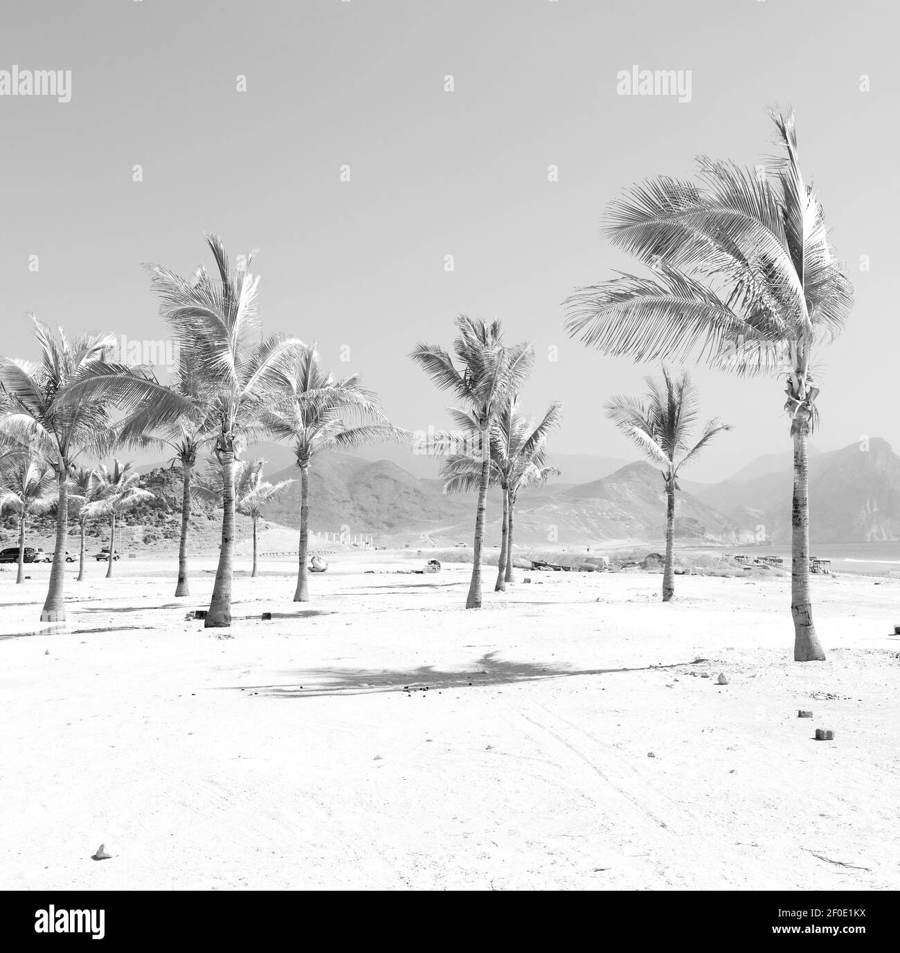Oman beach sandy Black and White Stock Photos & Images - Alamy