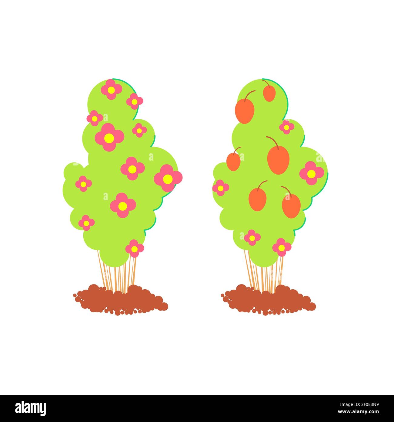 Flowering stages hires stock photography and images Alamy