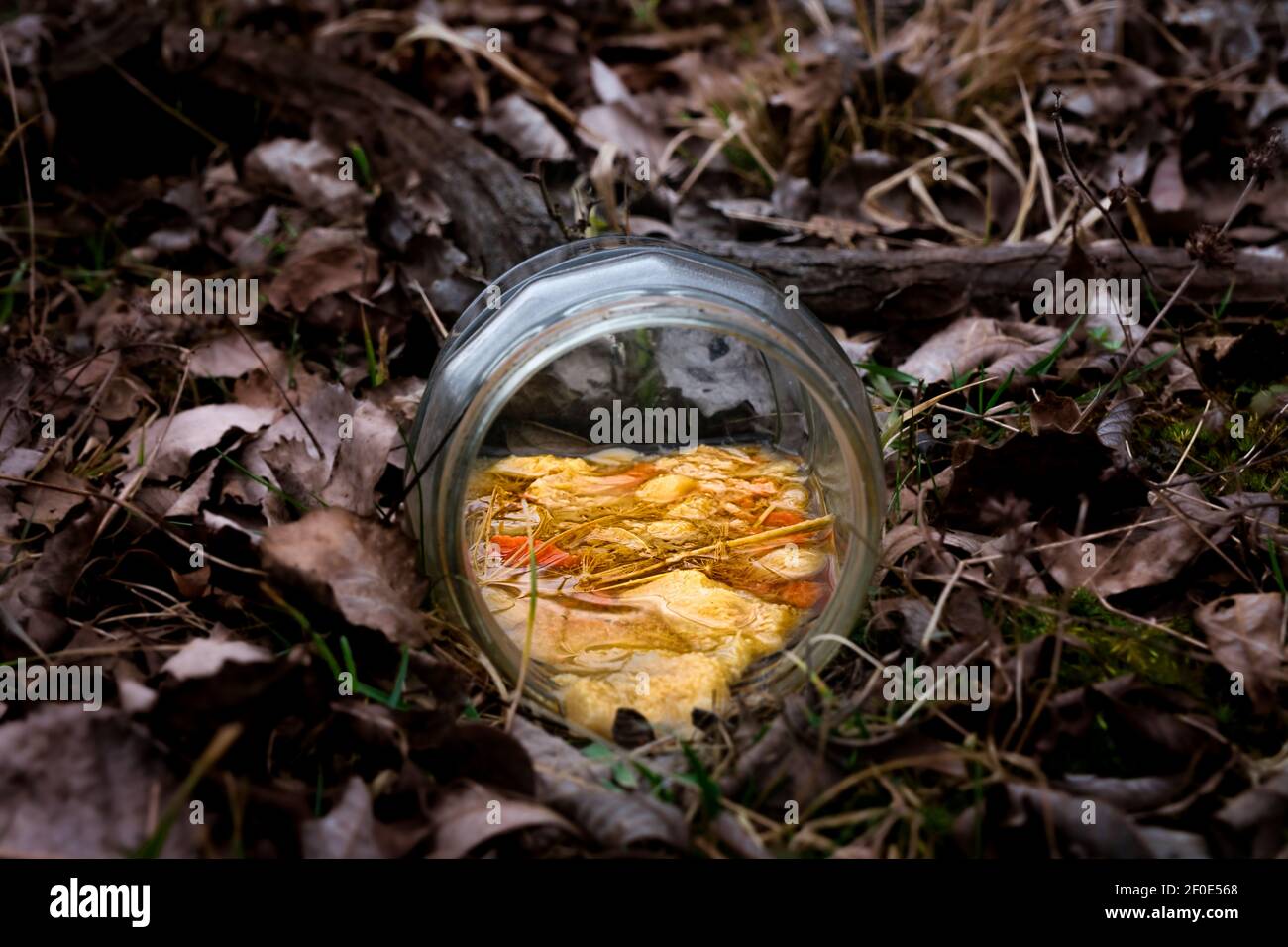 jar of rotten food thrown in the woods Stock Photo