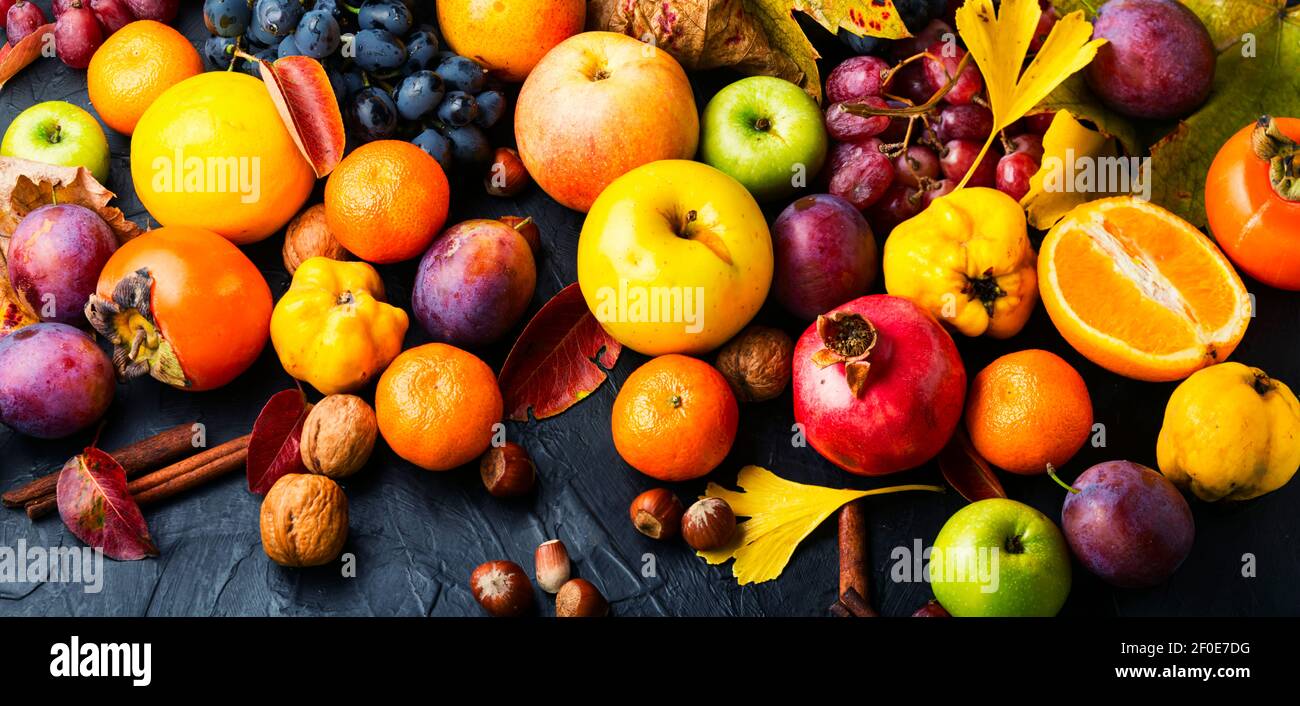 Set of fruits,grapes and nuts.Autumn food still life with season fruits Stock Photo