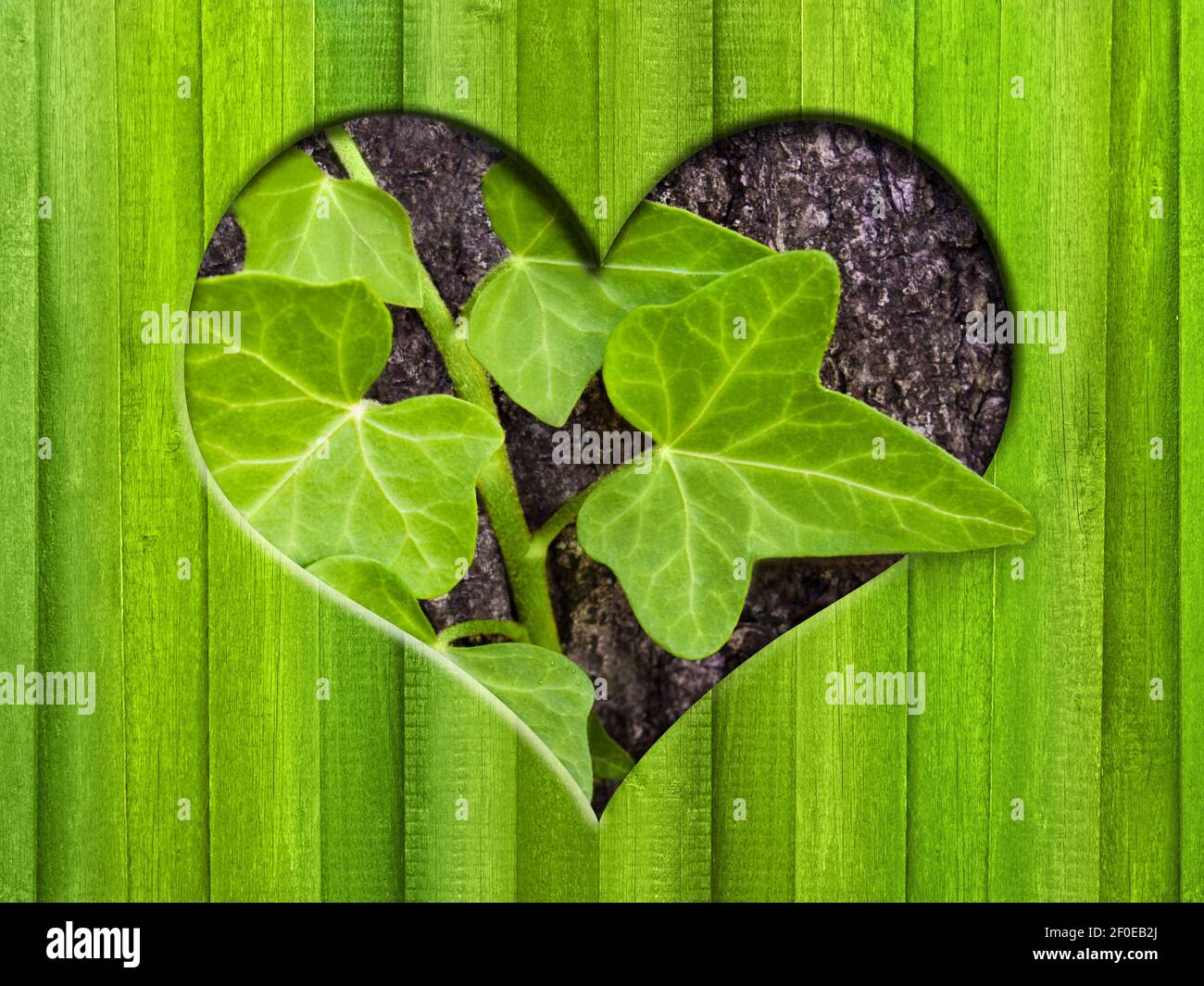 Efeu karte hires stock photography and images Alamy