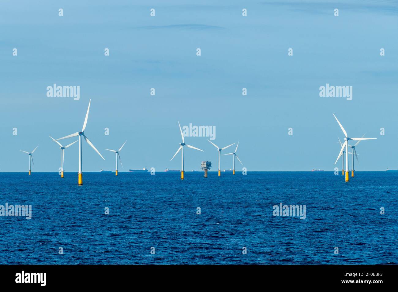 Wieso Es Keine Gebote Für Den Nordsee Windpark In Der Nordsee Gibt? Die Antwort Schockiert! - paeoqrx