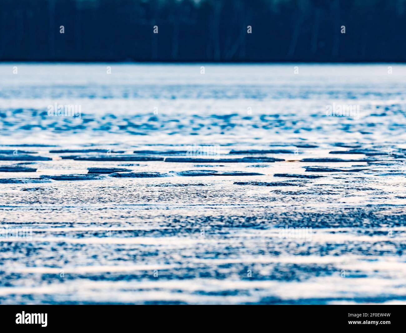 Bubbles and pieces of clear natural ice on frozen lake in evening sun. The melting changet the flat surface of ice to puddle with shards Stock Photo