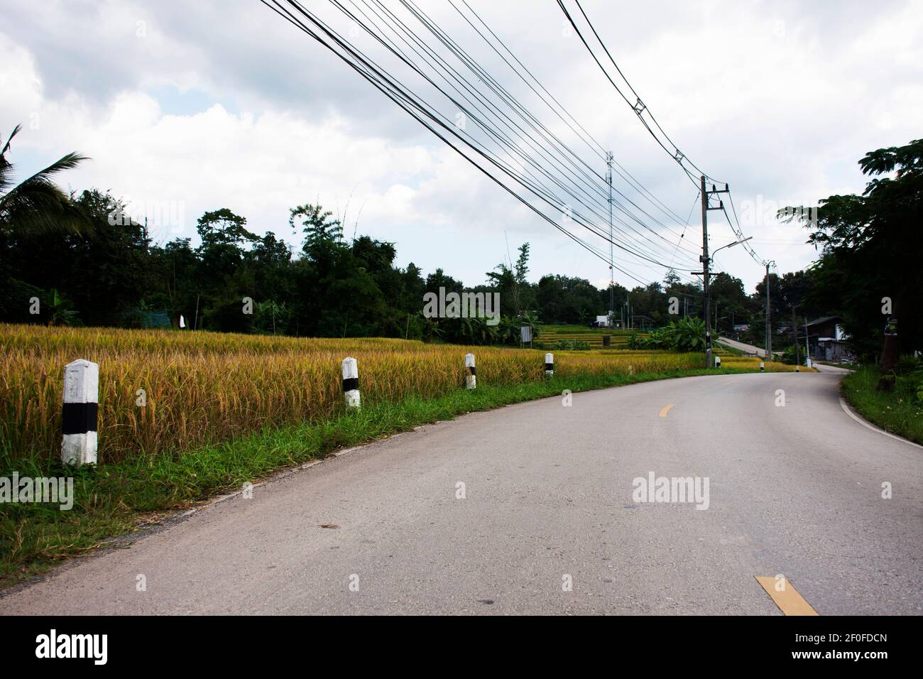 View Landscape Traffic Road In Countryside And Huay Kaew Primary Street At Baan Huaykaew Village Rural With Rice Field Paddy At Mae On City In Chiang Stock Photo Alamy