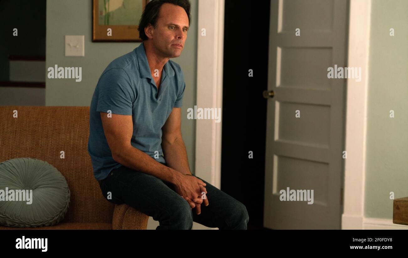 WALTON GOGGINS in WORDS ON BATHROOM WALLS (2020), directed by THOR ...