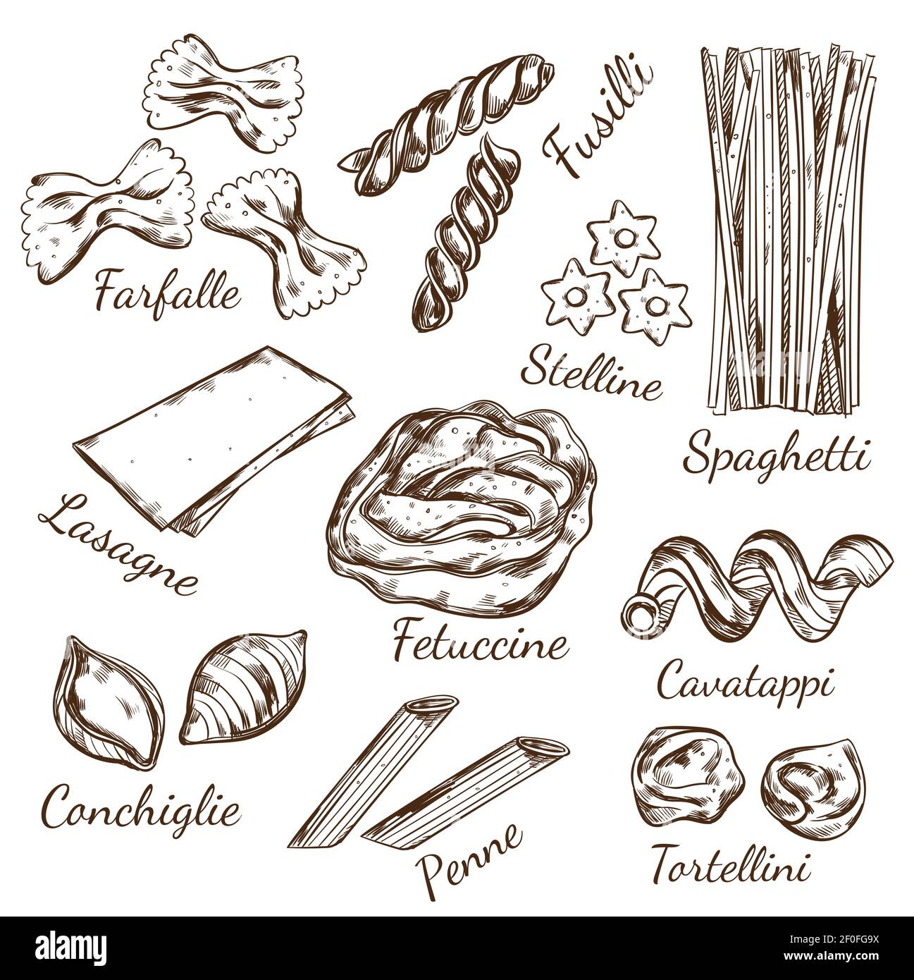 Premium Vector  Drawn set of types of pasta illustration italian pasta