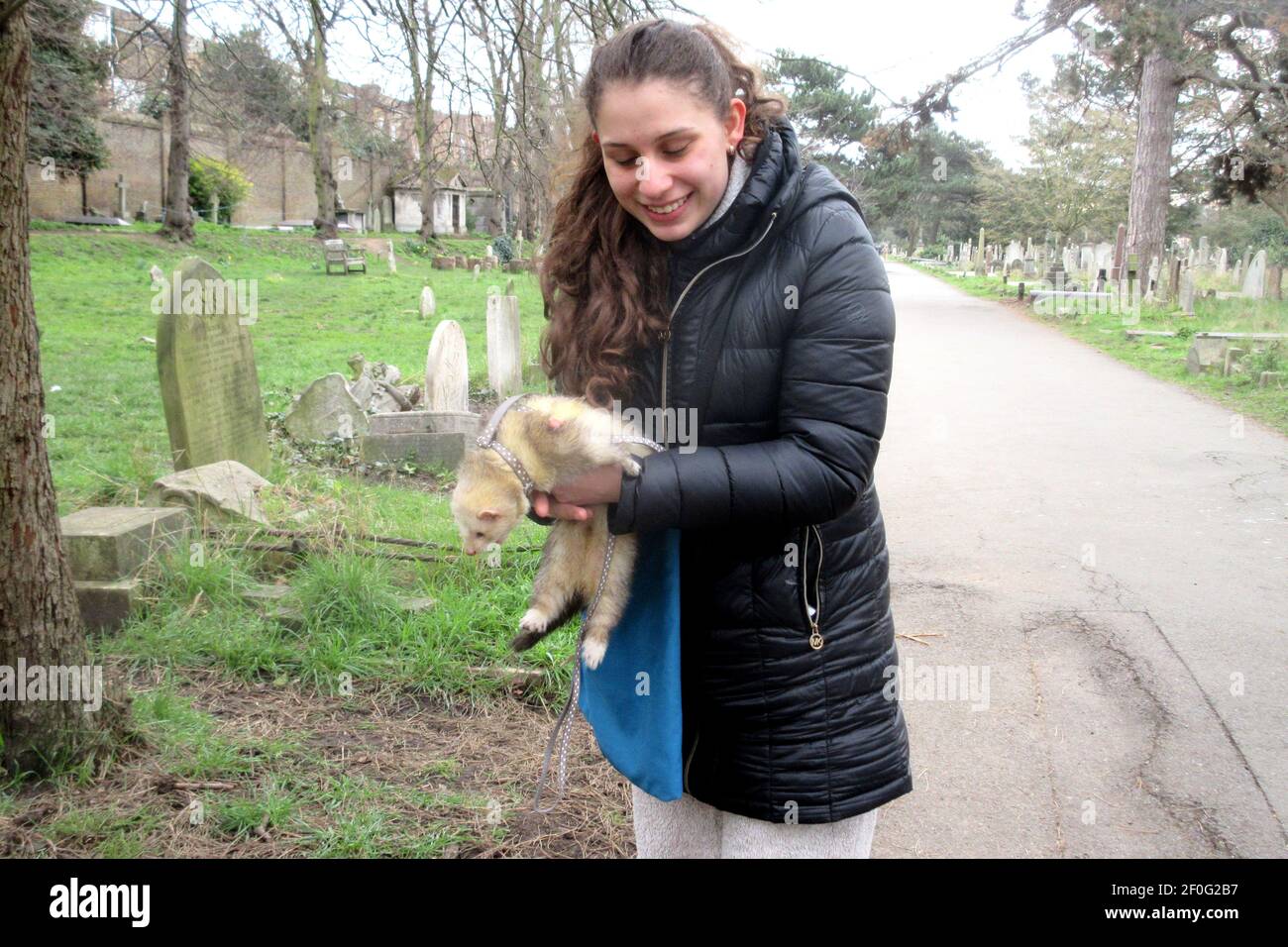 London, UK. 7th Mar, 2021. A woman takes her one year old ferret for a Sunday morning stroll in Brompton Cemetery, much to the consternation of local dogs. Credit: Brian Minkoff/Alamy Live News Stock Photo