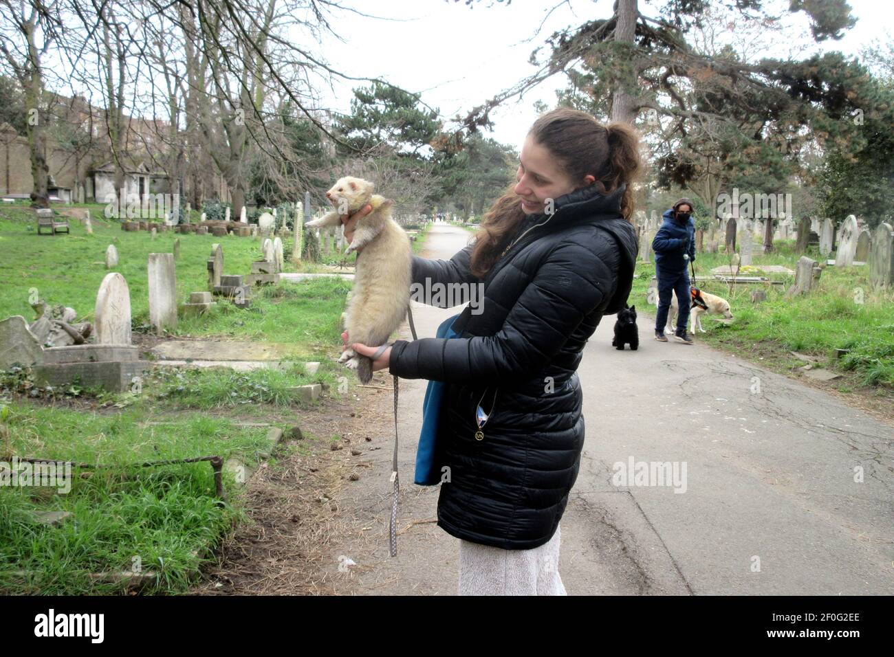 London, UK. 7th Mar, 2021. A woman takes her one year old ferret for a Sunday morning stroll in Brompton Cemetery, much to the consternation of local dogs. Credit: Brian Minkoff/Alamy Live News Stock Photo