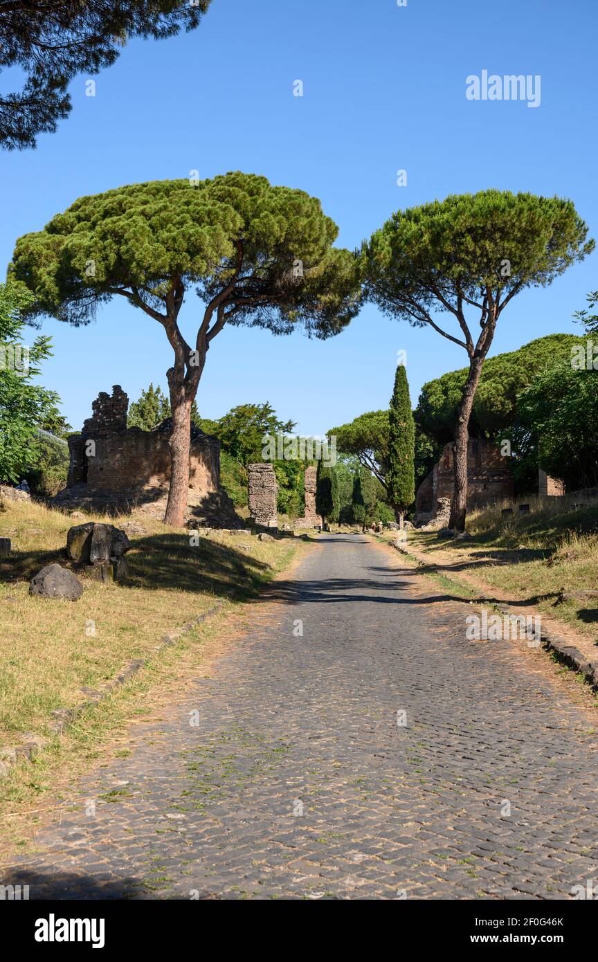 Rome. Italy. Via Appia Antica (Appian Way), Mediterranean Stone Pine trees and funerary monuments lining the ancient Roman road. Stock Photo