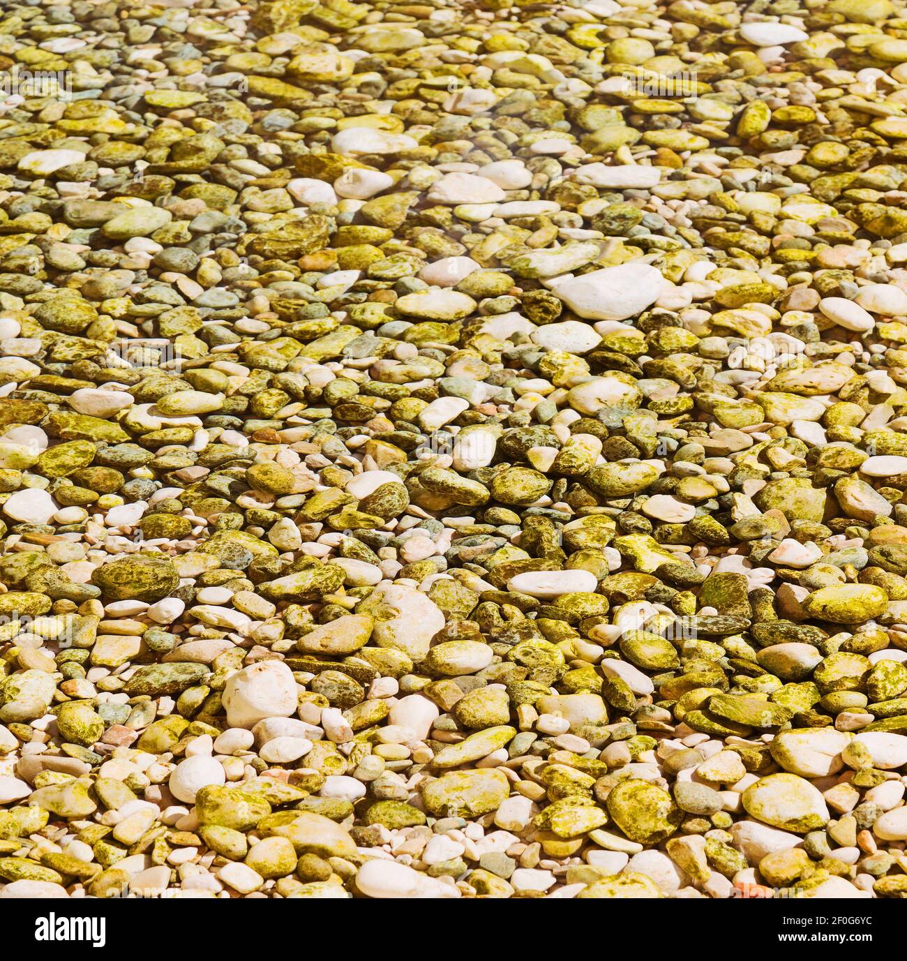 In oman  old river and stone Stock Photo