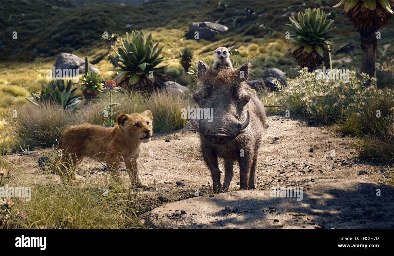 Simba The Lion King High Resolution Stock Photography And Images Alamy