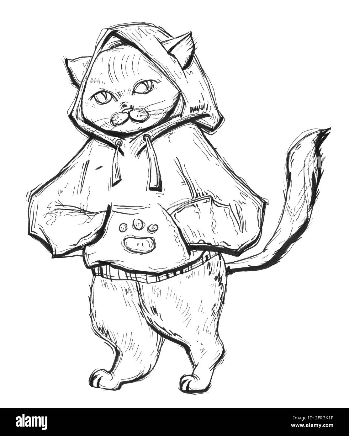 Cat dressed in the hoodie. Vintage monochrome hatching illustration isolated on white background. Hand drawn design element for t-shirt, poster and we Stock Photo