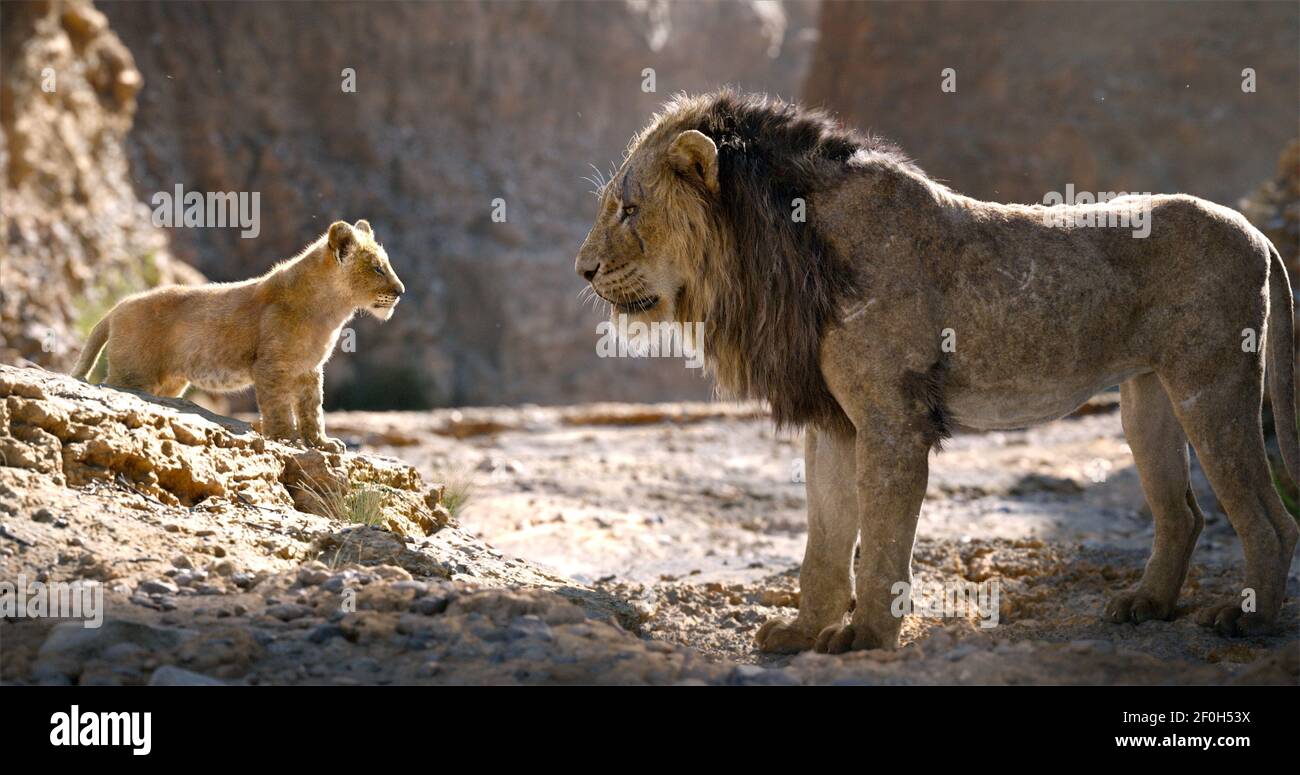 Simba Scar The Lion King 19 Stock Photo Alamy