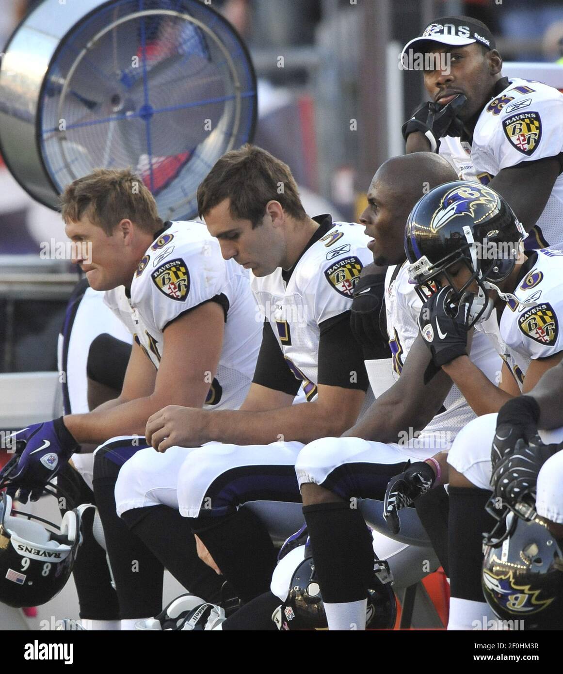 The Baltimore Ravens' bench react to the New England Patriots' first ...